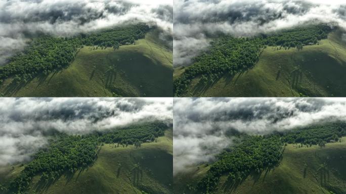 高山寒雾森林自然风景