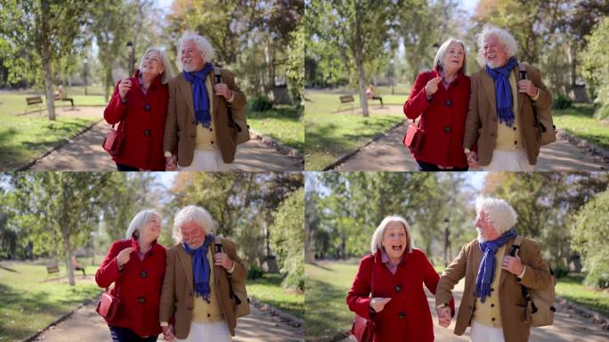 幸福的老年夫妇手牵着手在公园散步