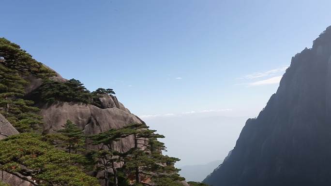 安微黄山迎客松