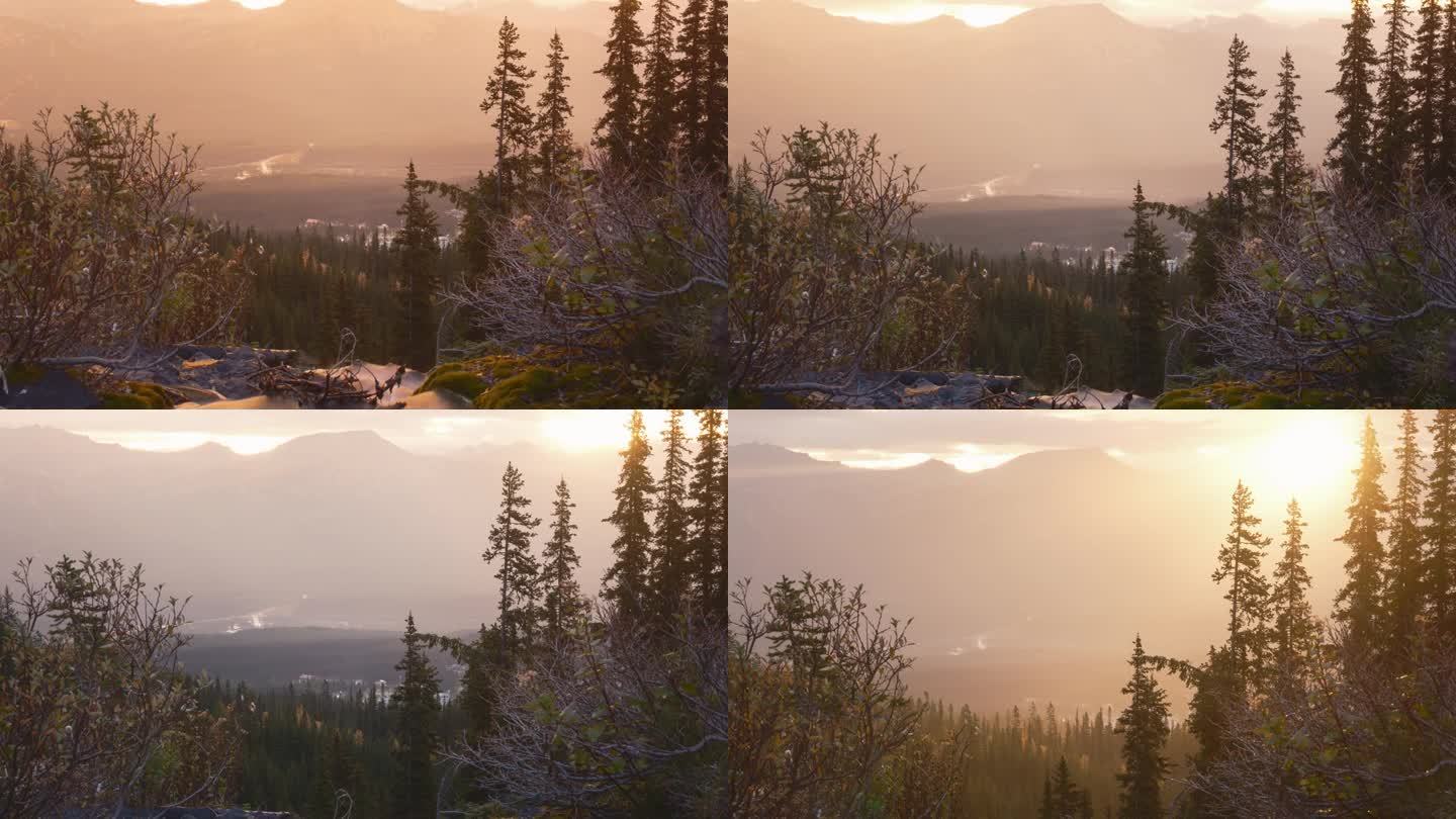 雾蒙蒙的日出在宁静的山景上，有灿烂的太阳、树木和瀑布。