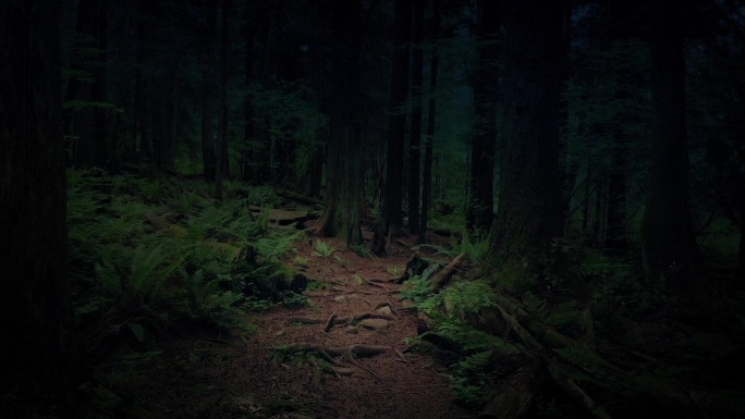 穿越黑暗森林的小径童话场景