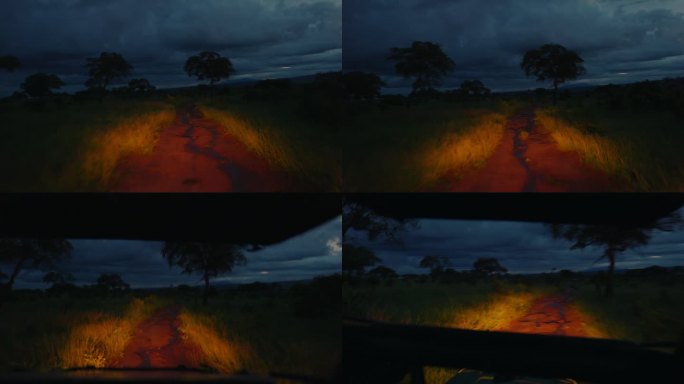 在Tarangire，车辆行驶在黑暗的草地上的土路上