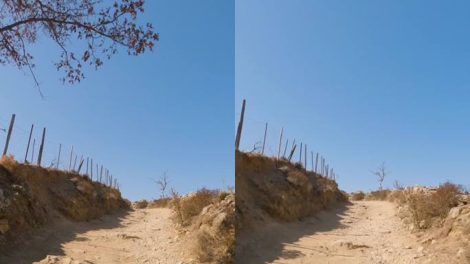 垂直拍摄的一条通往科西嘉岛美丽村庄圣安东尼奥的干燥道路，法国，欧洲。