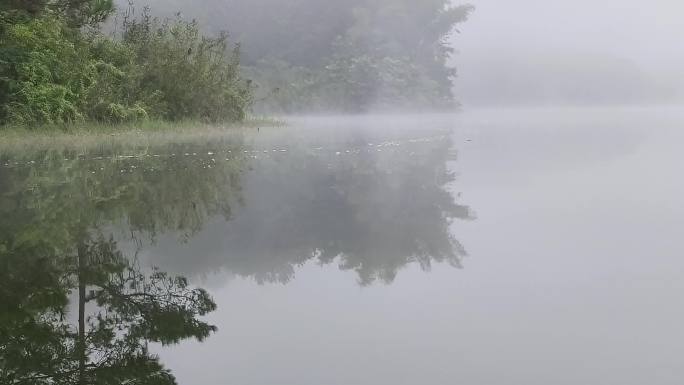 烟雨蒙蒙雾朦胧湖面倒影仙境大雾河面