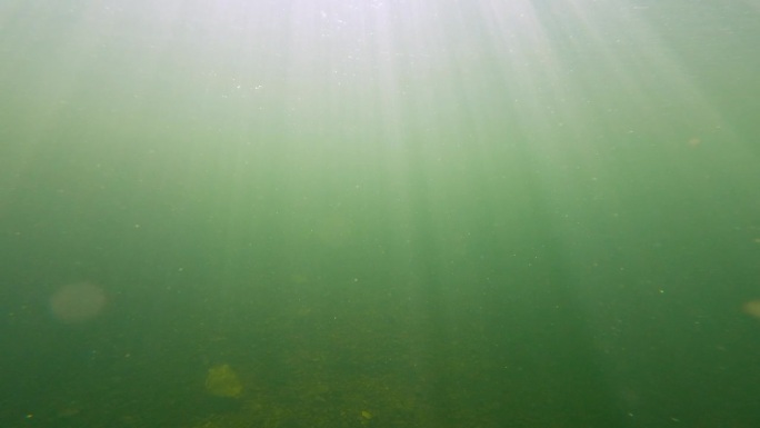4k在清澈清澈的海水下拍摄。照射在科西嘉岛水面上的阳光，法国，欧洲。