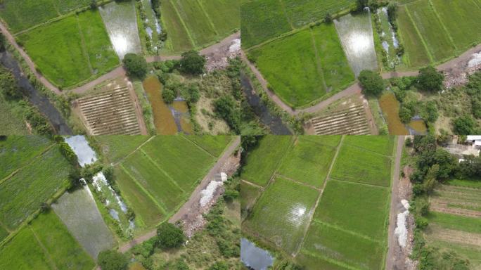无人机拍摄的水渠旁的农田。