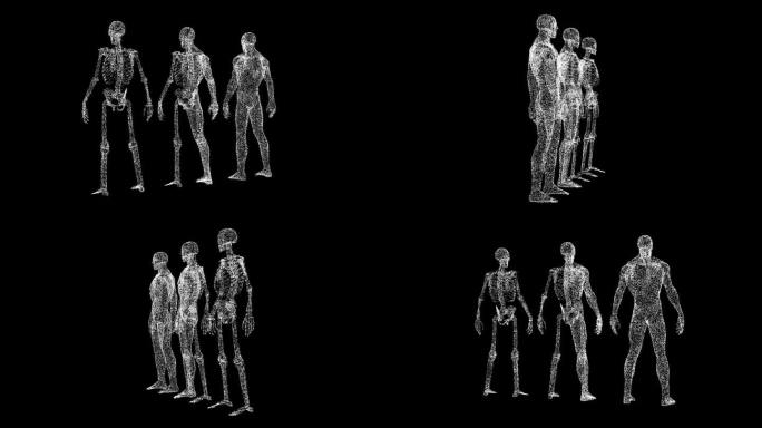 三维人体解剖旋转黑色背景。医学和科学的理念。男性身体解剖学。商业广告背景。用于标题，文本，演示。3d