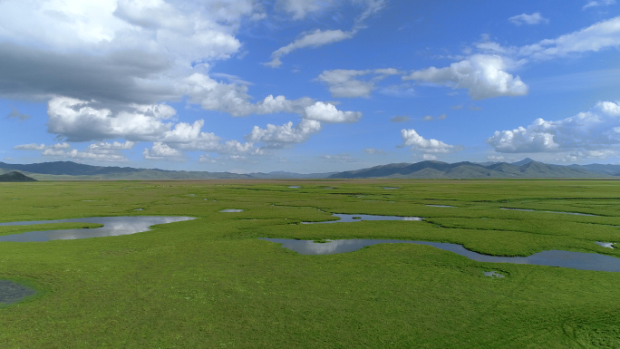 航拍草原湿地河流蒙古包帐篷九曲黄河