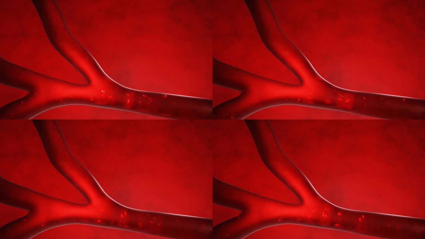 红血球在动脉或血管中，在人体内部流动，具有医疗保健作用。3 d渲染。