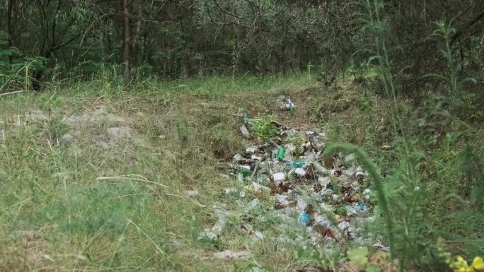 在森林坑非法倾倒塑料和瓶子