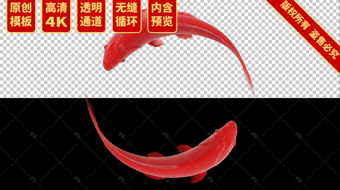 4K中国风大红锦鲤环绕模板 无缝循环
