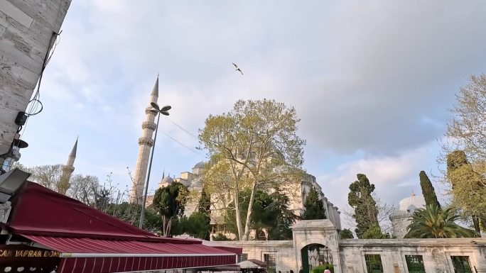 伊斯坦布尔的苏莱曼清真寺