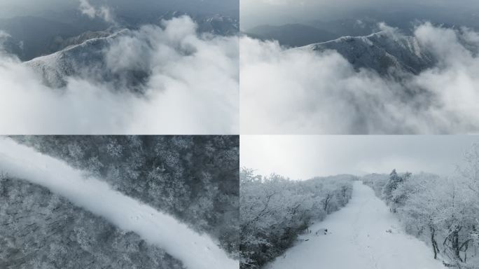 天目山脉龙王山森林雾凇云雾雪景航拍