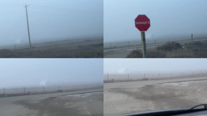 在雾中开车