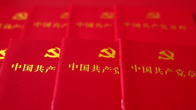 中国共产党章程 党建 爱国教育 两会