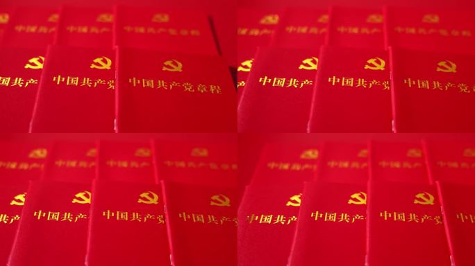 中国共产党章程 党建 爱国教育 两会