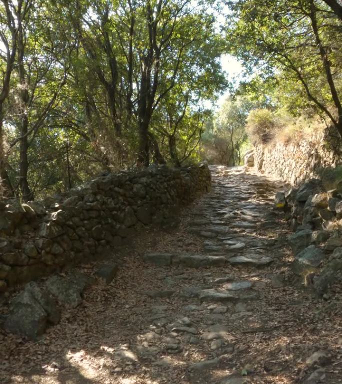 在科西嘉岛，法国，欧洲，一条有石墙和树木的狭窄小路的垂直照片。