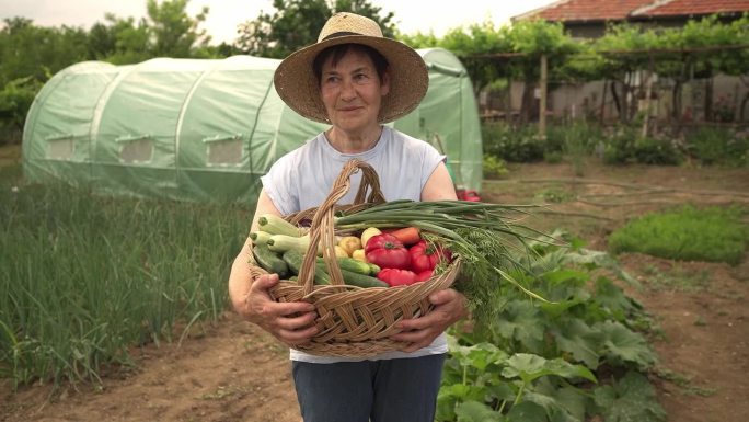 一位资深园丁提着一篮子蔬菜