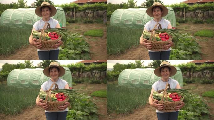 一位资深园丁提着一篮子蔬菜