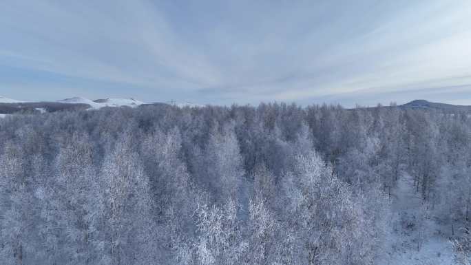 航拍雪域雪原桦林雾凇