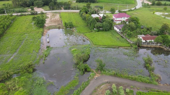 从无人机上鸟瞰洪水泛滥的稻田。