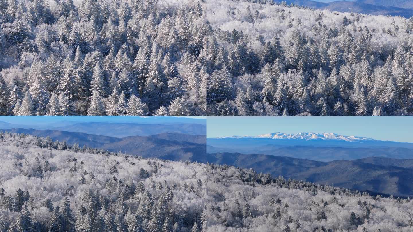 老里克湖雾凇远眺长白山