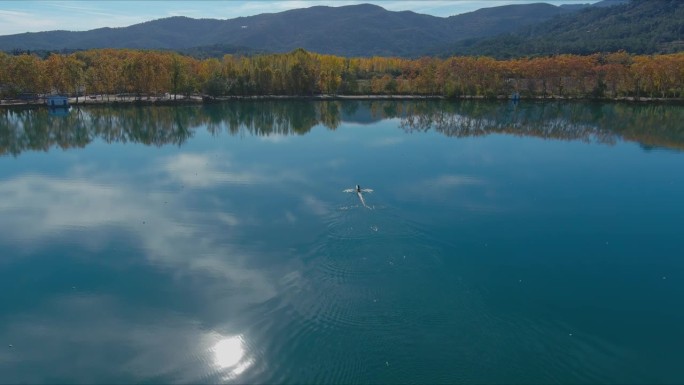 班约莱斯湖的秋天反射天空和太阳，因为划艇移动到岸边