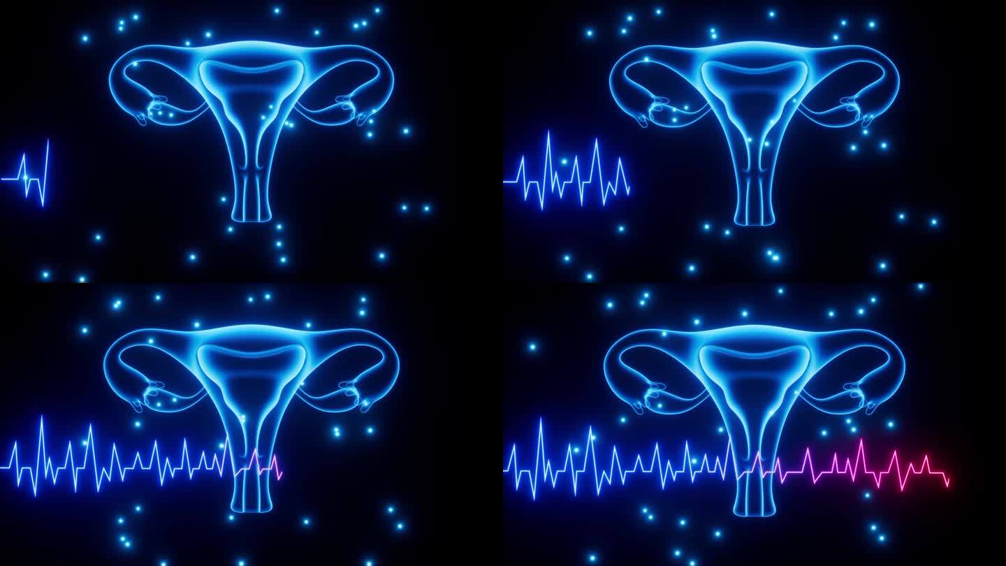 子宫与月经周期，妇科健康，3d渲染。