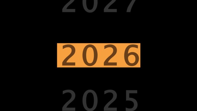 从2020年到2030年。数未来10年每年新年的次数。