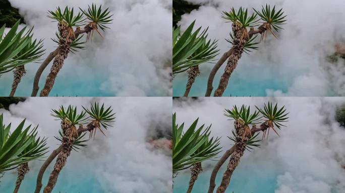 棕榈树前一片蔚蓝的热气在蒸腾。日本九州大分别府的地热温泉。冒着热气的火山湖被称为Jigoku