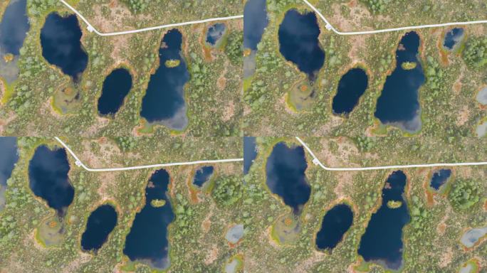 爱沙尼亚自然保护区的泥炭沼泽或沼泽景观