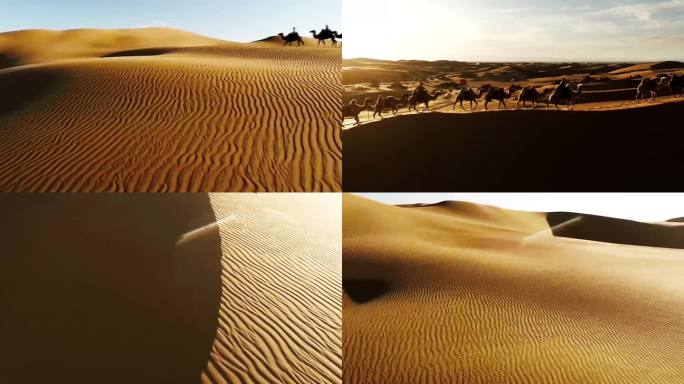 沙漠骆驼 丝绸之路