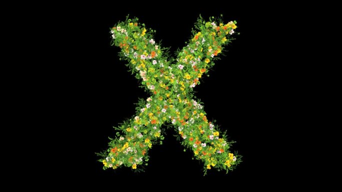 英文字母X与草和彩色花朵在纯黑色的背景