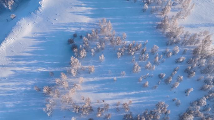 丘陵山地寒冬雪地桦树林光影