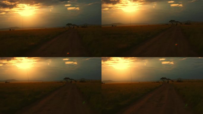 一条土路蜿蜒穿过塞伦盖蒂草原，在落日的壮观天空下