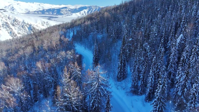 航拍冬季森林雪景道路