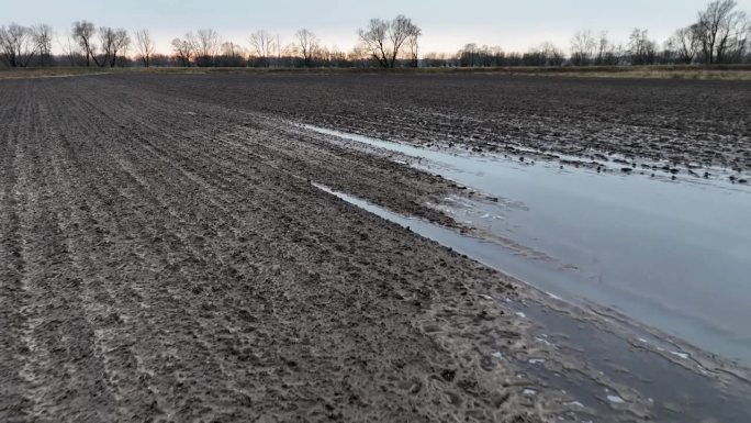 秋水淹了冬小麦的耕地。农田里有雨水
