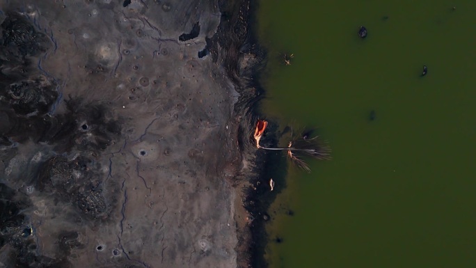 无人机降落到污染严重的海岸线，有绿色的水和棕色的焦油沙和鸟