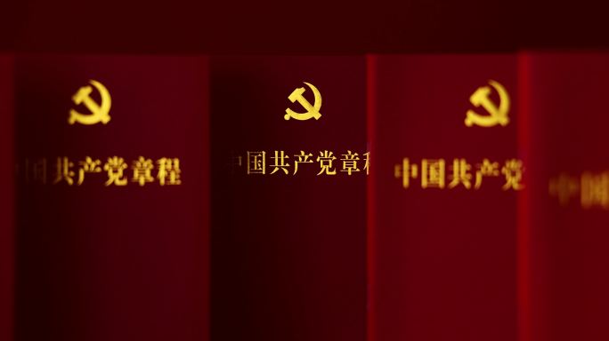 中国共产党章程 党建 爱国教育 两会