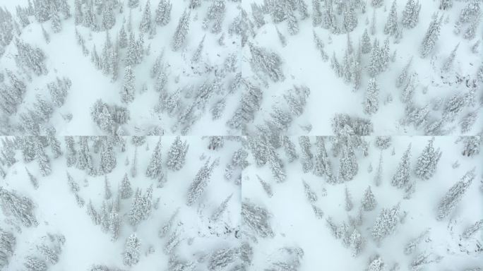 电影航拍科罗拉多深粉雪拉夫兰滑雪胜地艾森豪威尔隧道库恩山偏远地区1970年冬季大雪春雪大陆分水岭落基