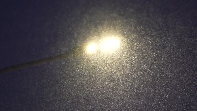 风雪中的路灯