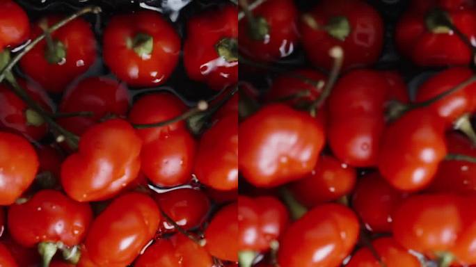 垂直视频。“火鸡之星”品种的红辣椒在盛有水的容器中冲洗干净。特写镜头，慢镜头。