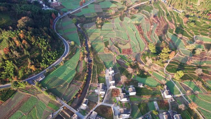 鸟瞰中国安徽宏村芦村古村落。无人机在阳光明媚的秋日早晨拍摄传统村落，色彩缤纷的秋日农田，4k实时画面