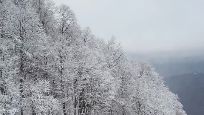 从滑雪场滑雪缆车的移动小屋看到的美丽景色。令人难以置信的山景和被霜覆盖的树木。