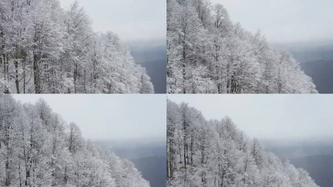 从滑雪场滑雪缆车的移动小屋看到的美丽景色。令人难以置信的山景和被霜覆盖的树木。