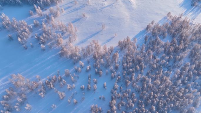 大兴安岭疏林地桦树林冬季雪景光影