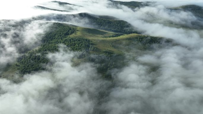 山岭森林云雾