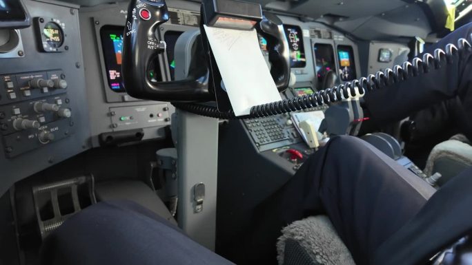 在一次真实的飞行中，喷气式飞机驾驶舱内的特写镜头。左侧。船长用鹦鹉说话。