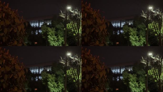 窗外灯光夜晚窗户 夜景夜灯晚上亮灯大楼