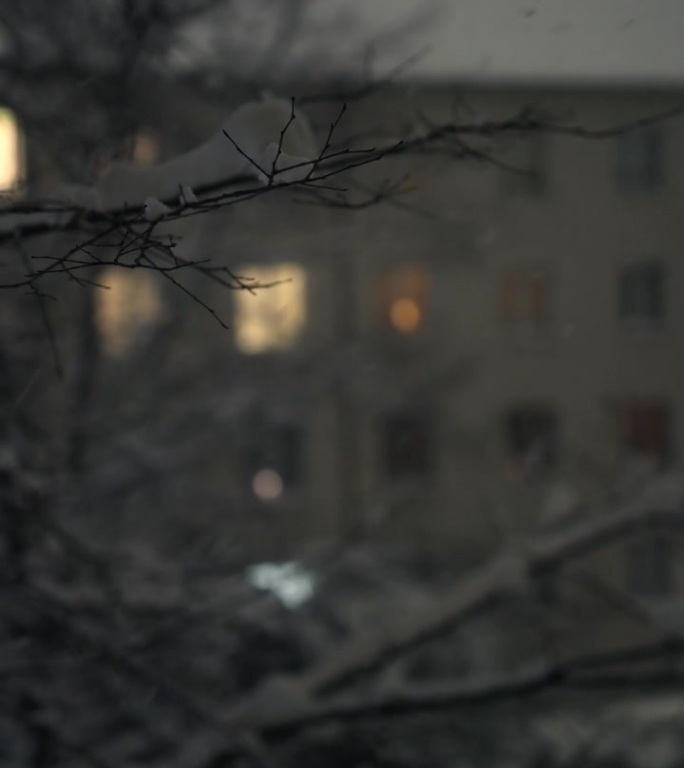 雪，夜，窗景